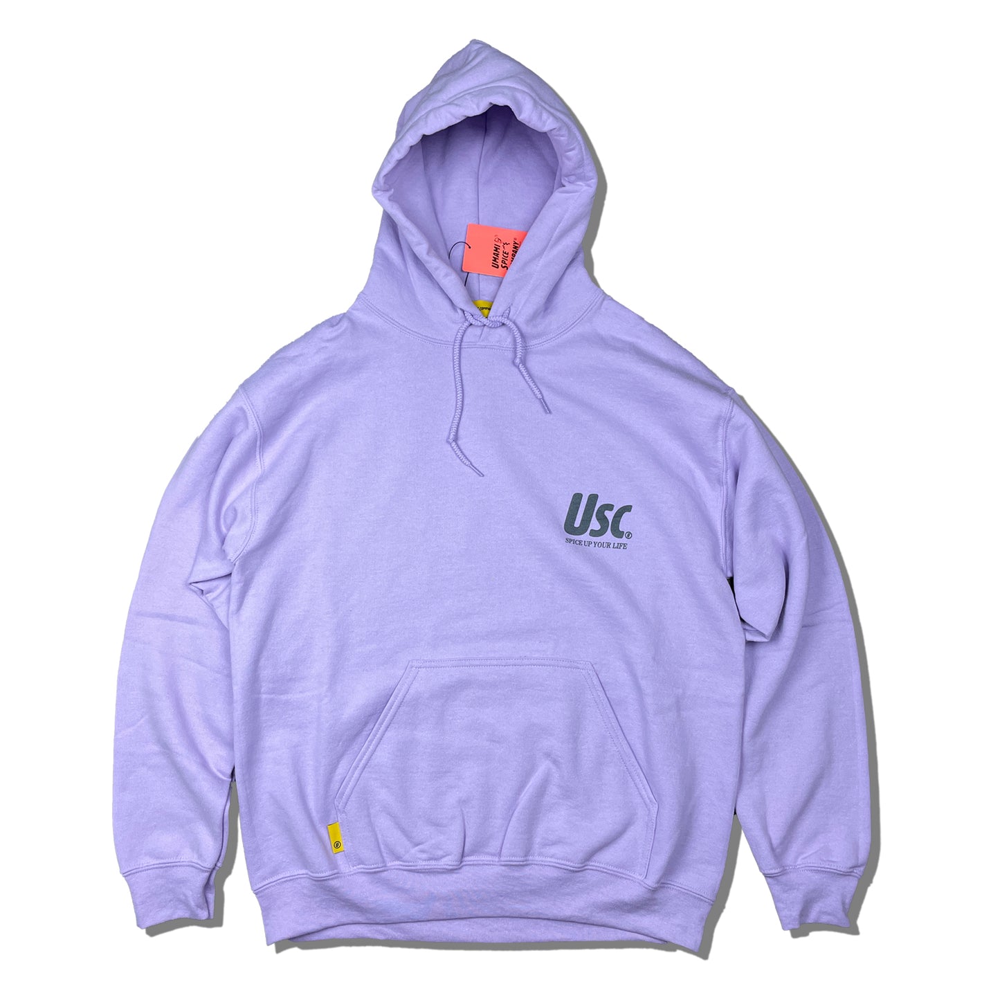 USC REFLECTOR HOODIE