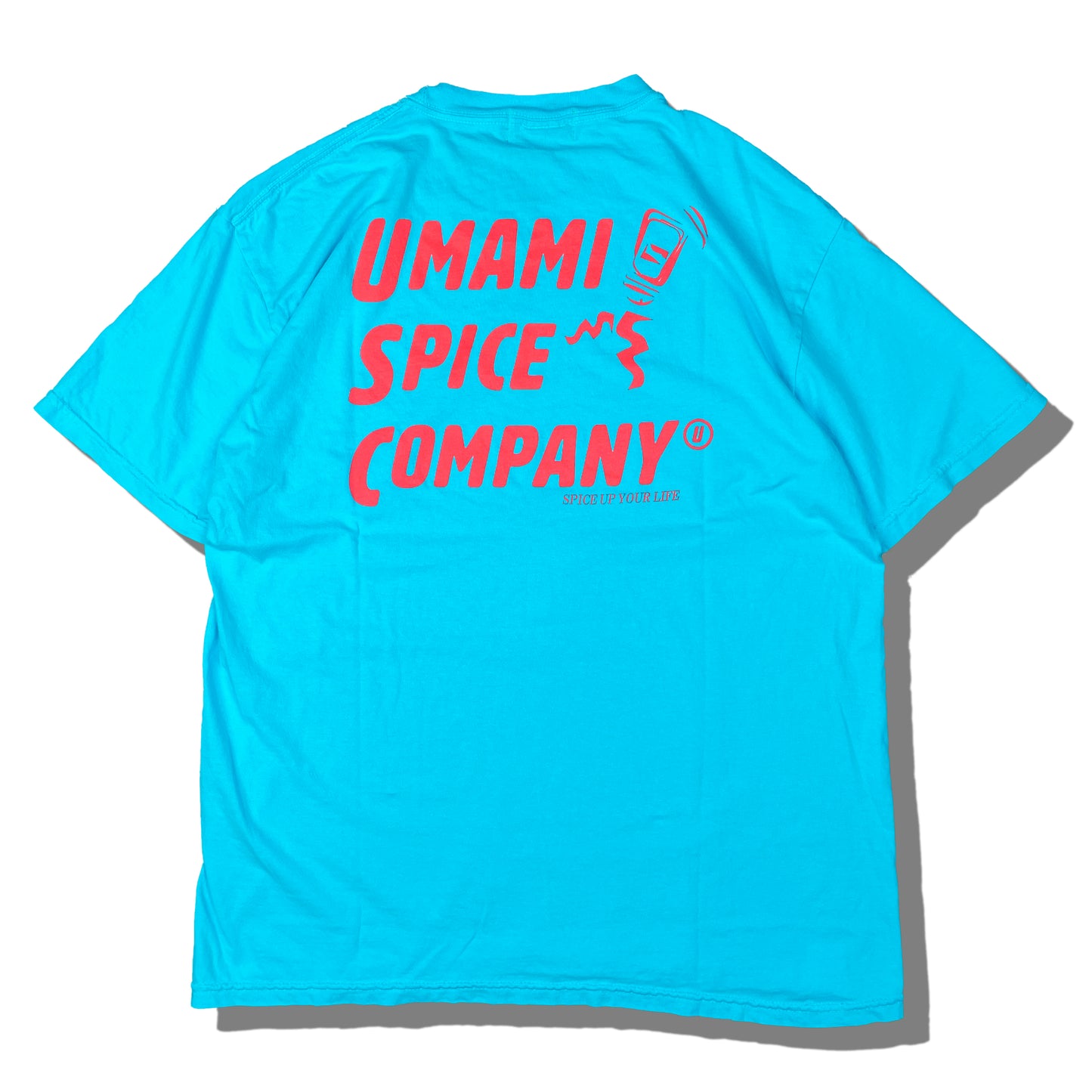 USC PIGMENT T-SHIRT