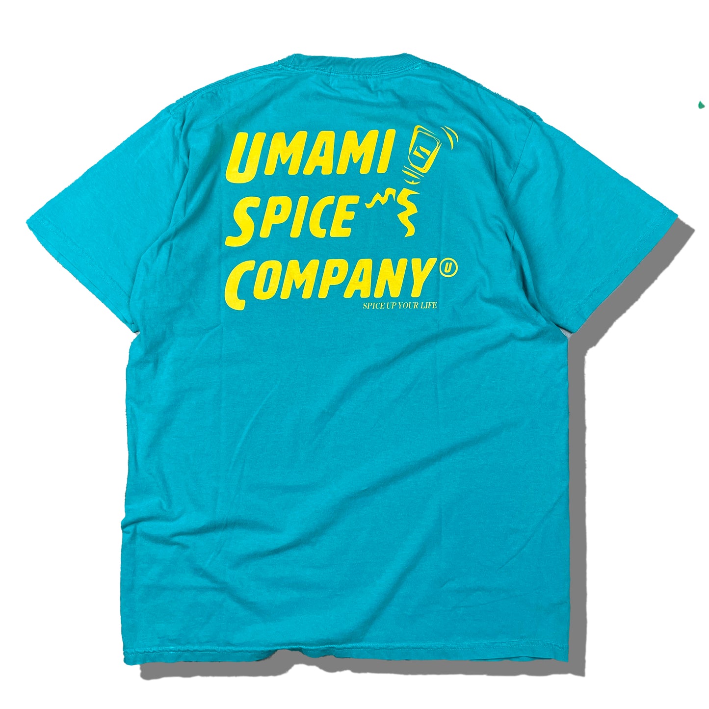 USC PIGMENT T-SHIRT