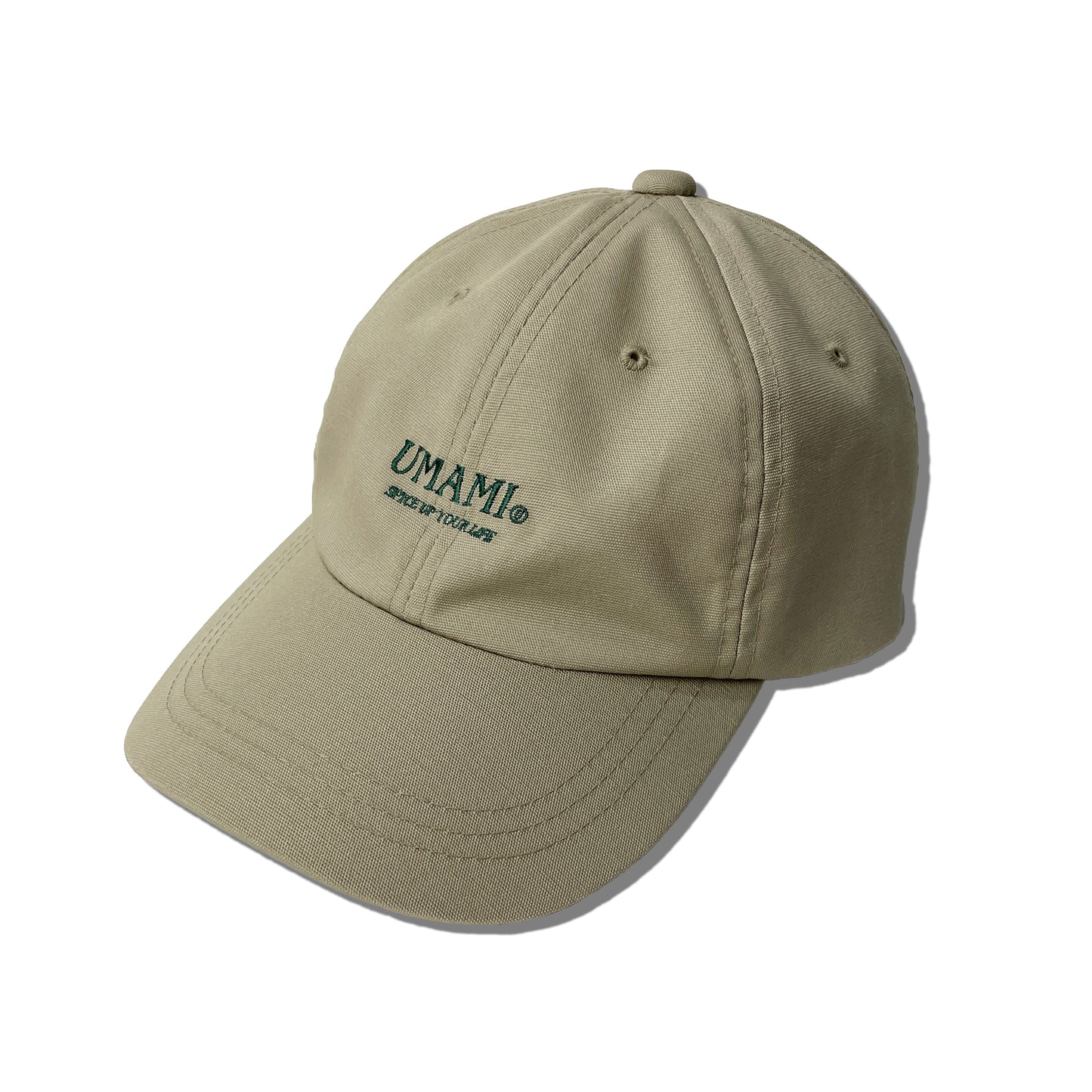 SPICE UP YOUR LIFE 6PANEL CAP